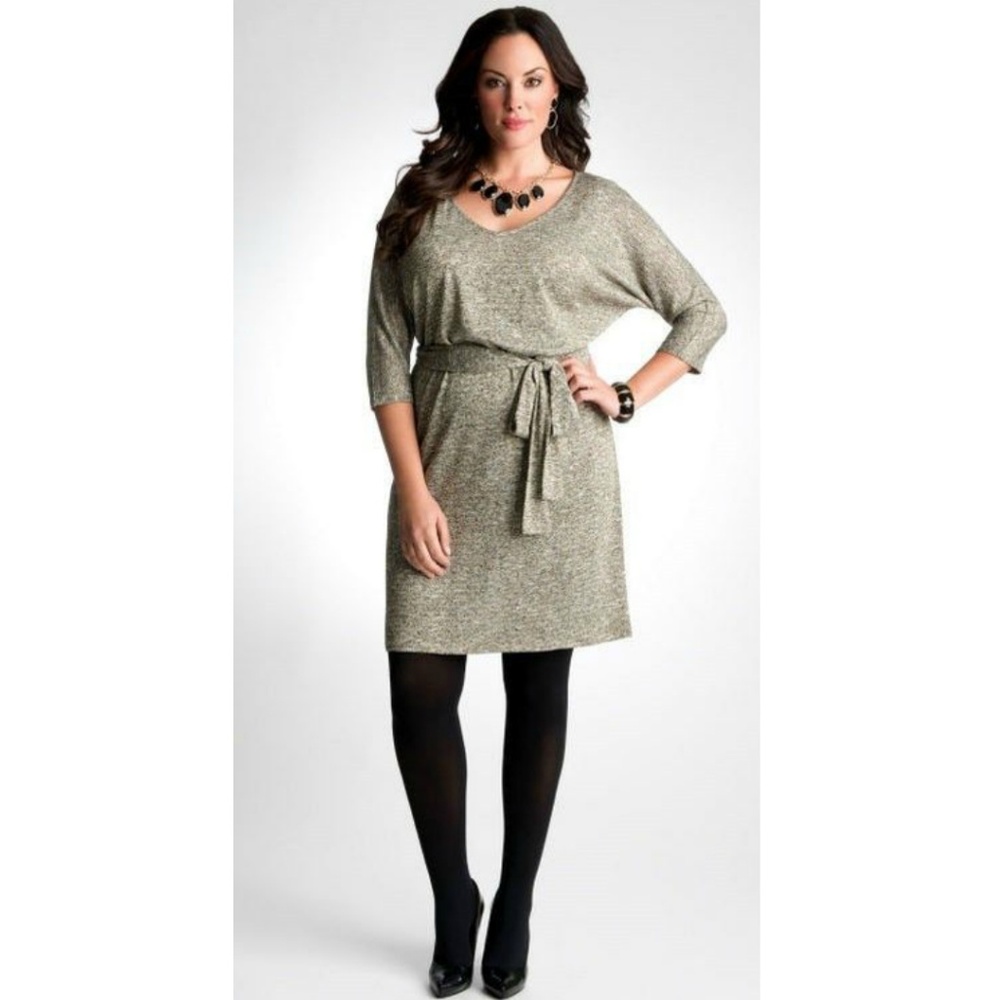 Lane Bryant 14 16 Metallic Marled Sweater Dress